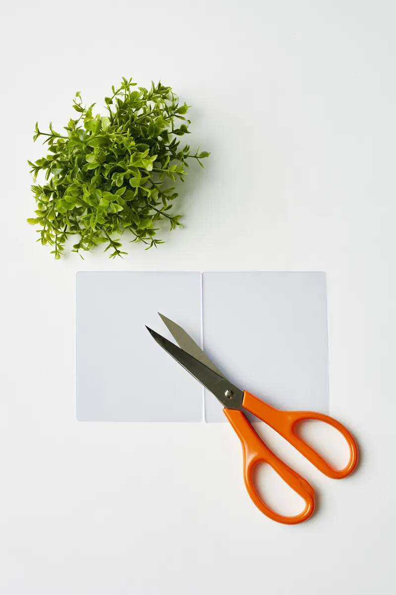 Orange-handled scissors cutting a plastic card in half on a clean white surface beside a small plant