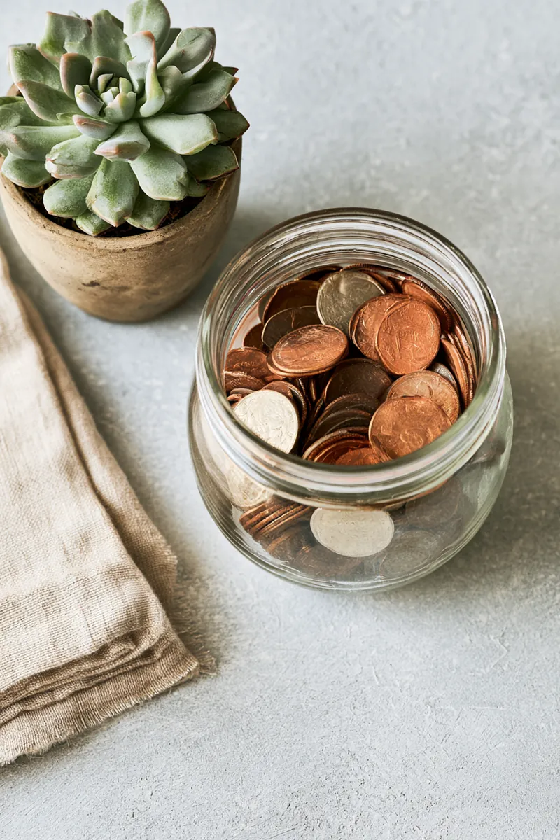 Clear glass jar half filled with coins beside a small potted succulent, a simple money stash on a light gray surface